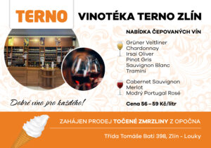 terno zlin inzerce 210 147 02 1