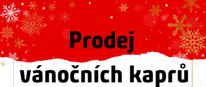 Prodej vánočních kaprů