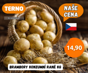 top cena nova 41