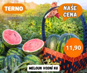 top cena nova 9