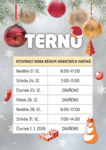 terno prodejni doba a4 vanoce 02 zli